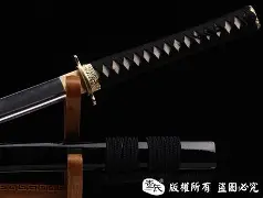 刀塔焦点战：怒海狂鲨对战风暴之眼，完成三杀，赢下信心之战的简单介绍