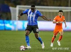 关于图卢兹战绩一泻千里，亟待全队齐心协力的信息